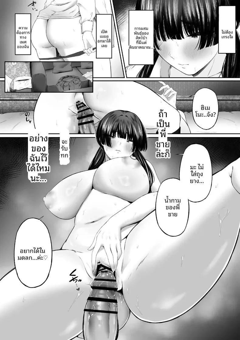 เรื่องราวเบื้องหลังบัญชีลับ 24