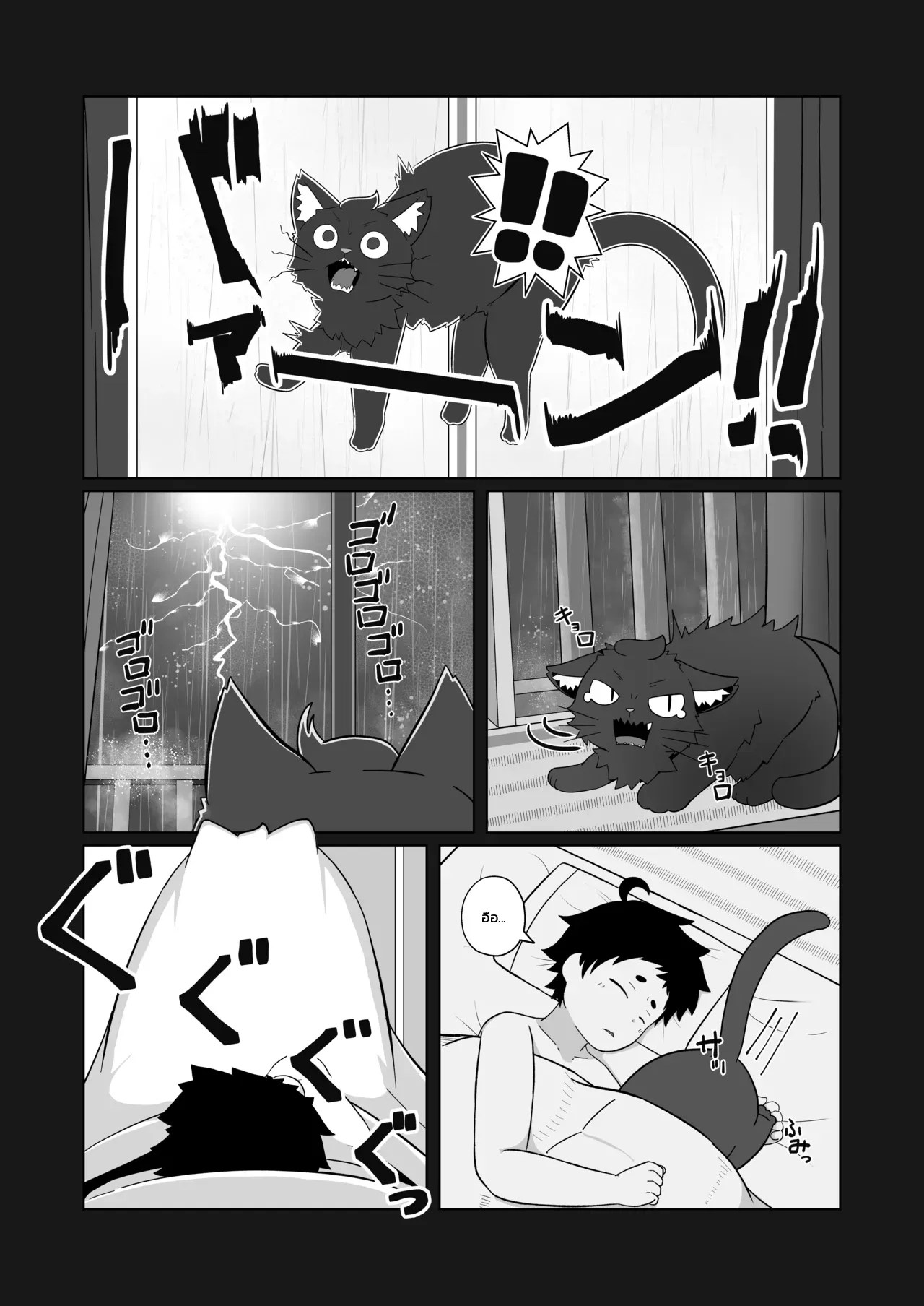 แมวของผมขี้อ้อนอยากกอด 2