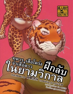 โดจิน ฝึกลับในยามวิกาล แปลไทย