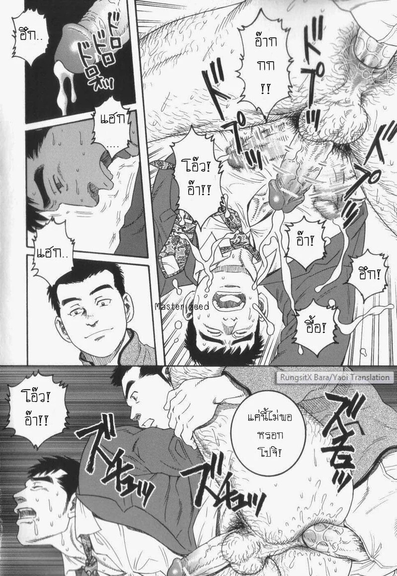 โปจิ 14