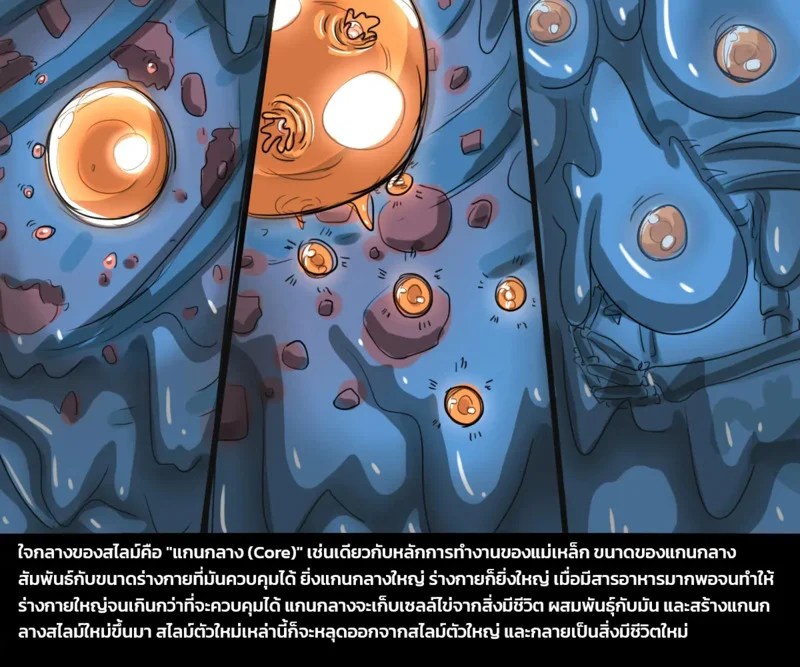 เผ่าพันธุ์ผสม 4 - ภารกิจพิชิตสไลม์ พาร์ทหนึ่ง ภาพ 4