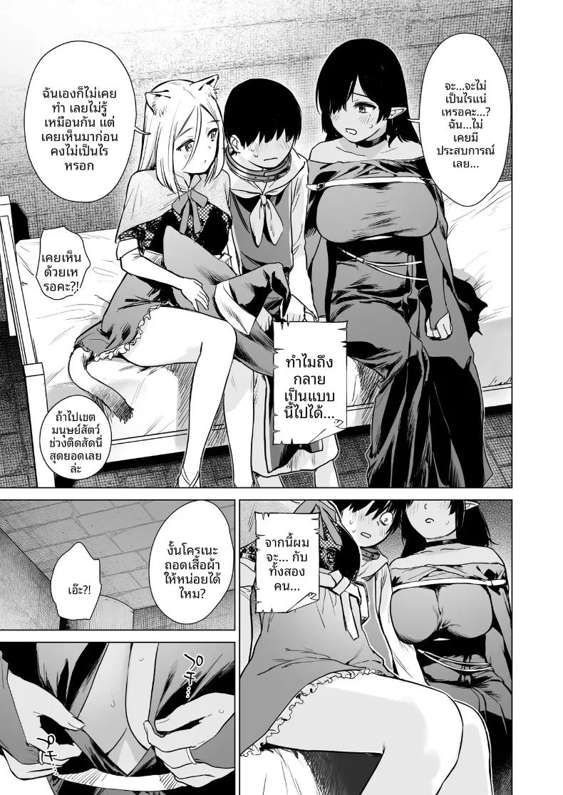 อ่านโดจิน ฮาเร็มในดันเจี้ยนต่างโลก แปลไทย หน้า 10 แนว big breasts