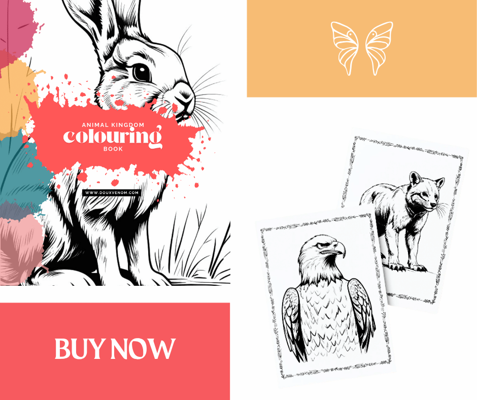 Animal Kingdom colouring book cover showcasing a sketch of a rabbit, with detailed animal pages shown alongside.