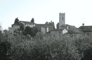 Versilia insolita </br> Alla scoperta di Massarosa 14 c.