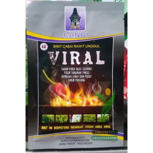 Jual benih cabe viral / cabe rawit merah