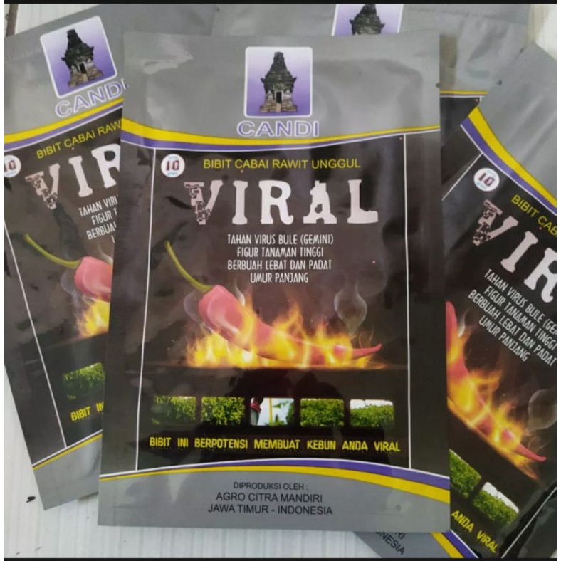 Cover Image of the Post