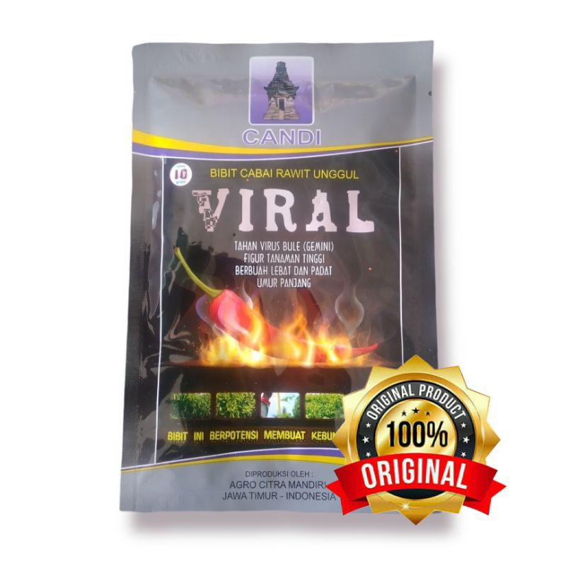 Cover Image of the Post