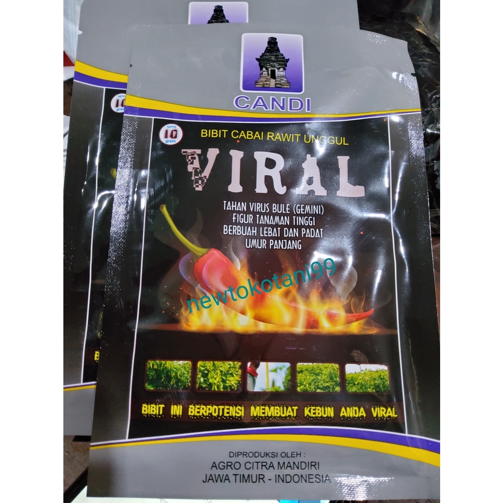 Jual benih cabe viral 10 gram cabe rawit viral 10gr cap candi tahan
