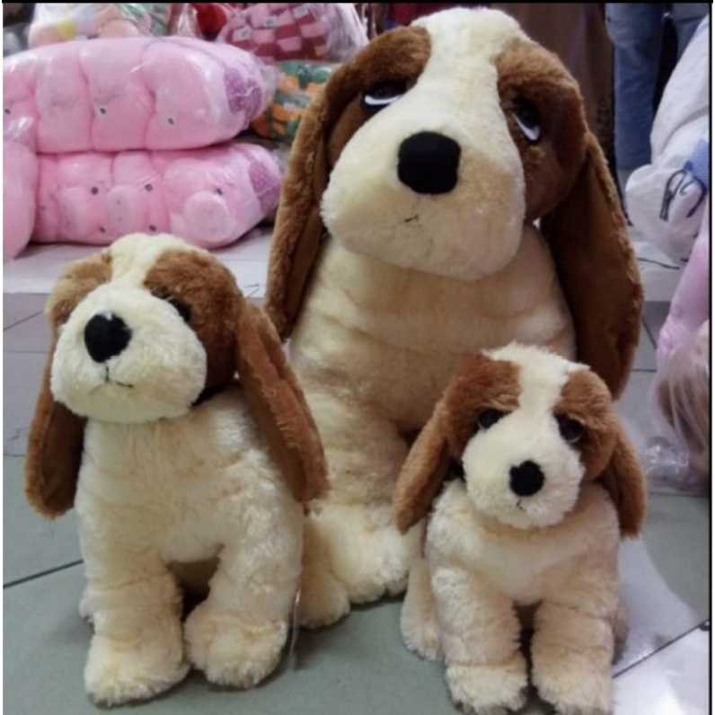 Cover Image of the Post