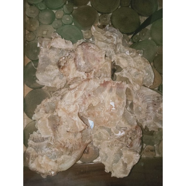 Jual gelembung ikan manyung/gelembung ikan baung laut