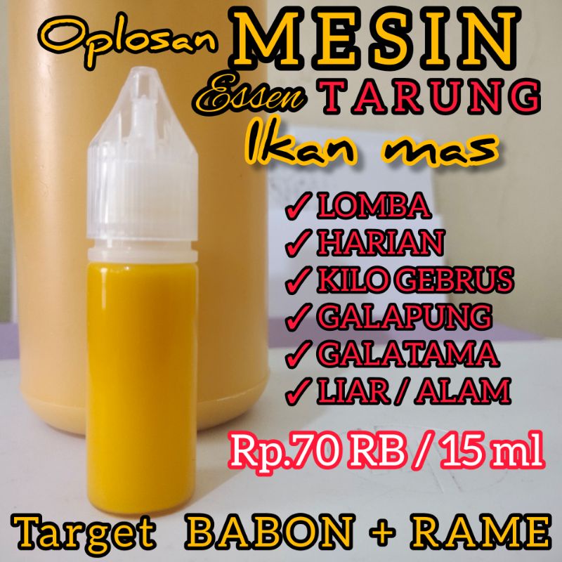 Cover Image of the Post