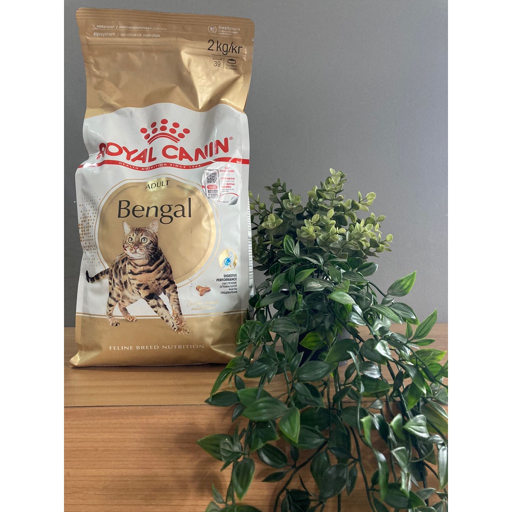 Jual royal canin bengal 2kg