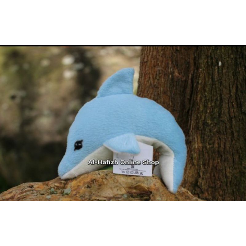 Cover Image of the Post