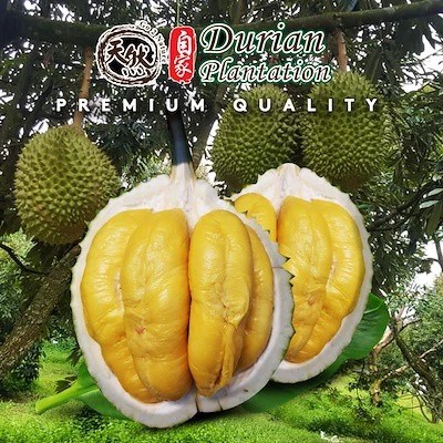 [Durian Plantation]De-husk pack 400g/1kg Delivery