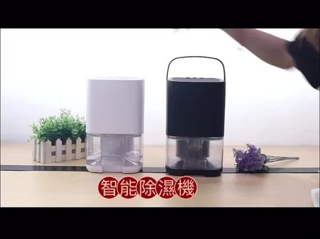 除濕機 蓁妮小舖 6個購買理由 適合誰？選購攻略