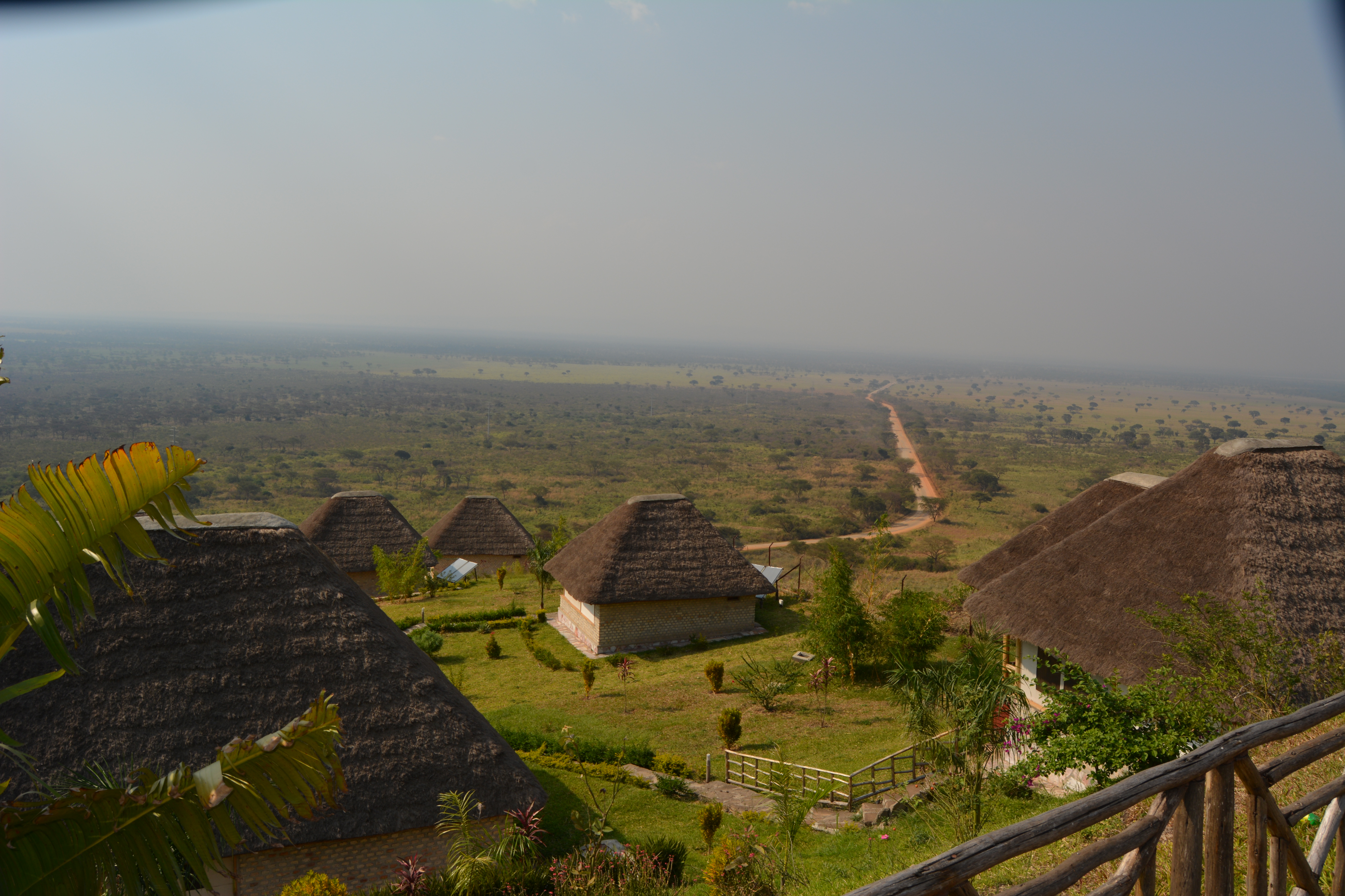 The road we drove to get there