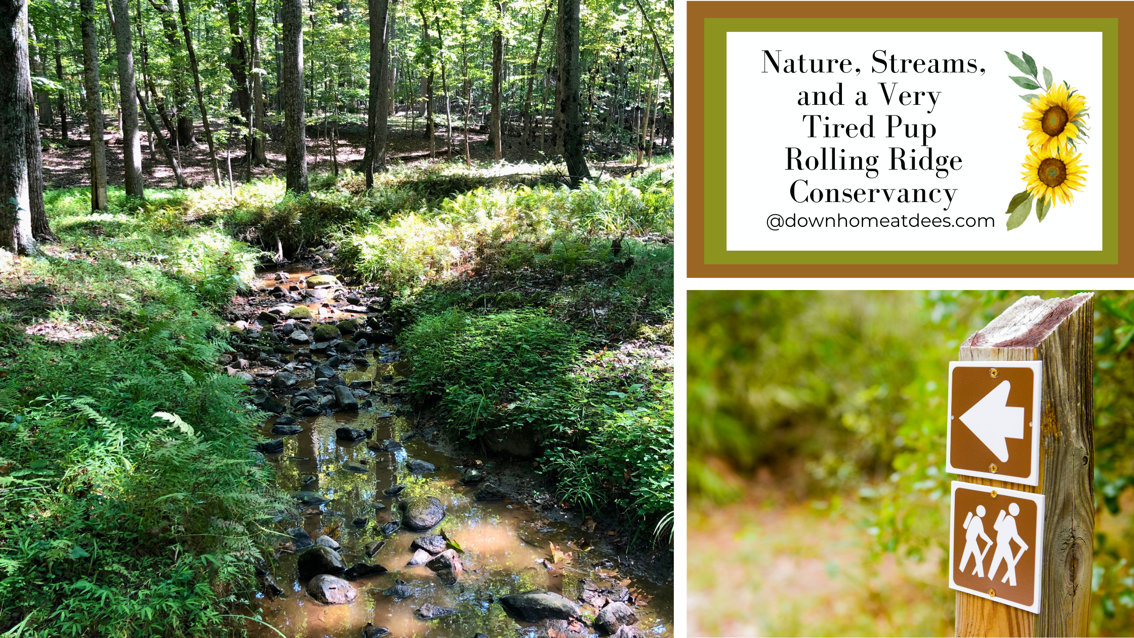 Perfect Day at Rolling Ridge Conservancy