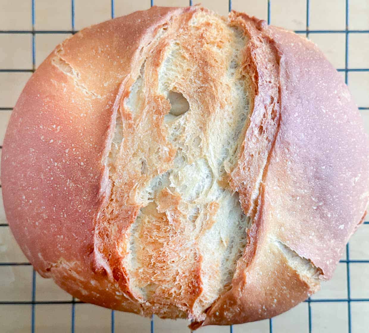 Small batch dutch oven bread