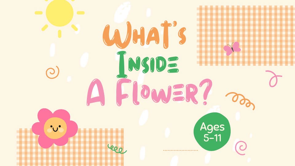 WhatsInsideAFlowerLibrary