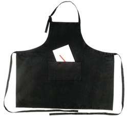 APRONS-2 2010