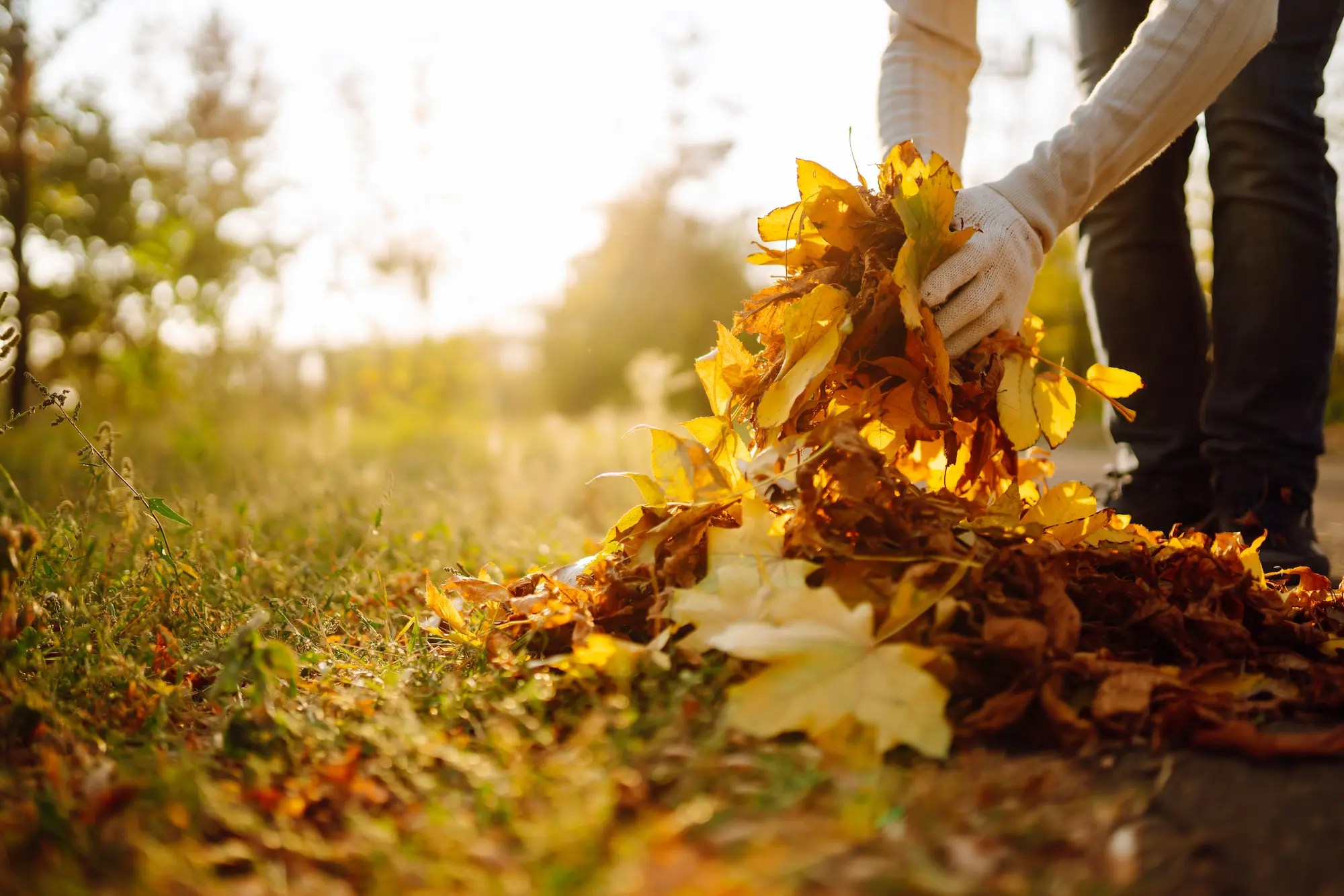 Fall Landscaping Ideas for the Cheney and Spokane Areas