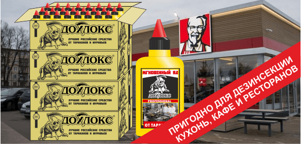 Иллюстрация к материалу «Борьба с тараканами в квартире: что и как применять. Два самых эффективных средства от тараканов в квартире Самый лучший яд от тараканов»