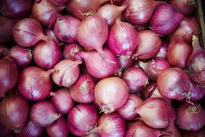 7 Cara Alami Menyembuhkan Sakit Gigi Berlubang Nomor 5 Paling Mudah