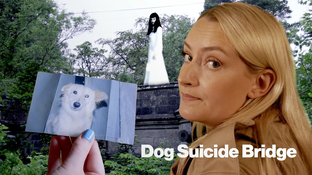 Dogs Jump Off Bridge? – Dumbarton Dogs