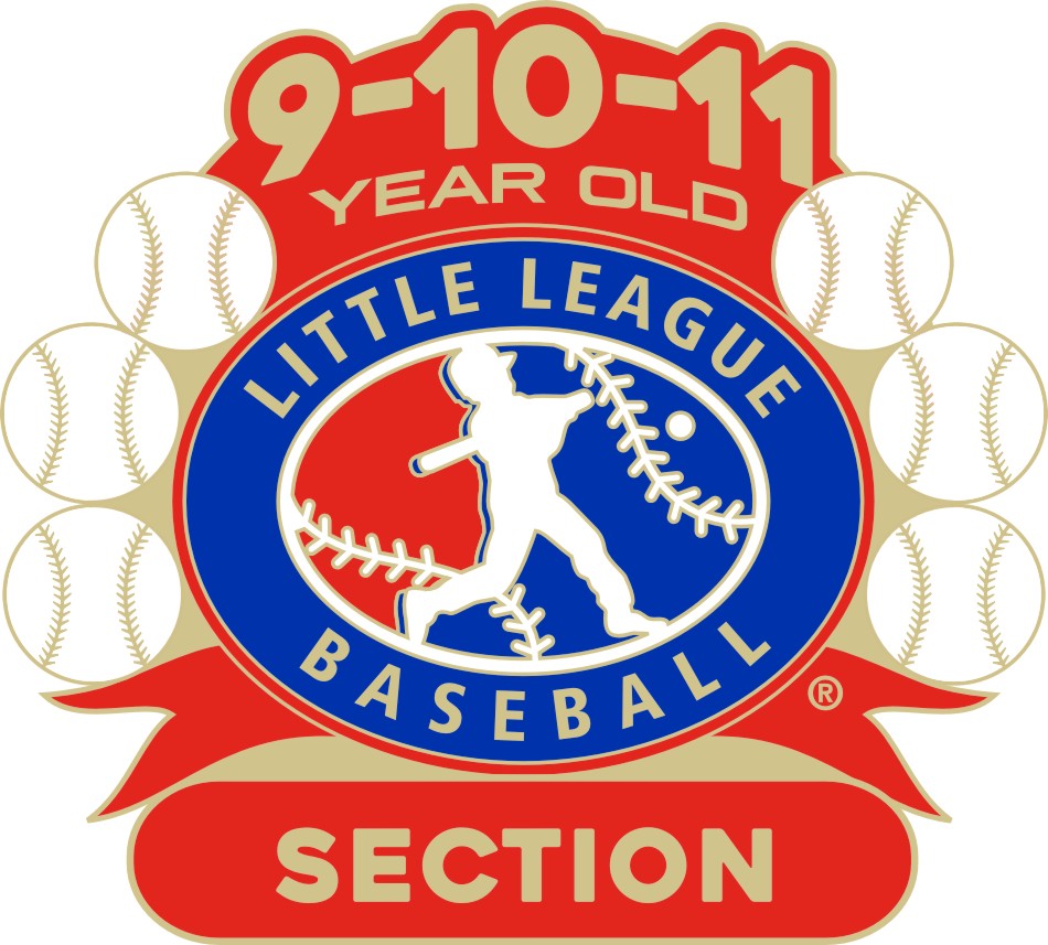 L-596 9-10-11 BASEBALL SECTION PIN