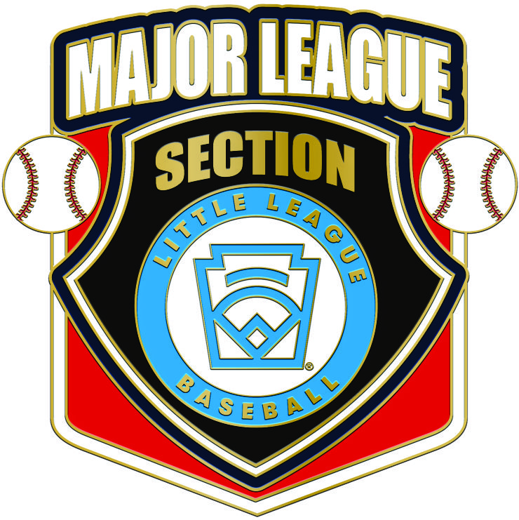 L-123 MAJOR LEAGUE SECTION