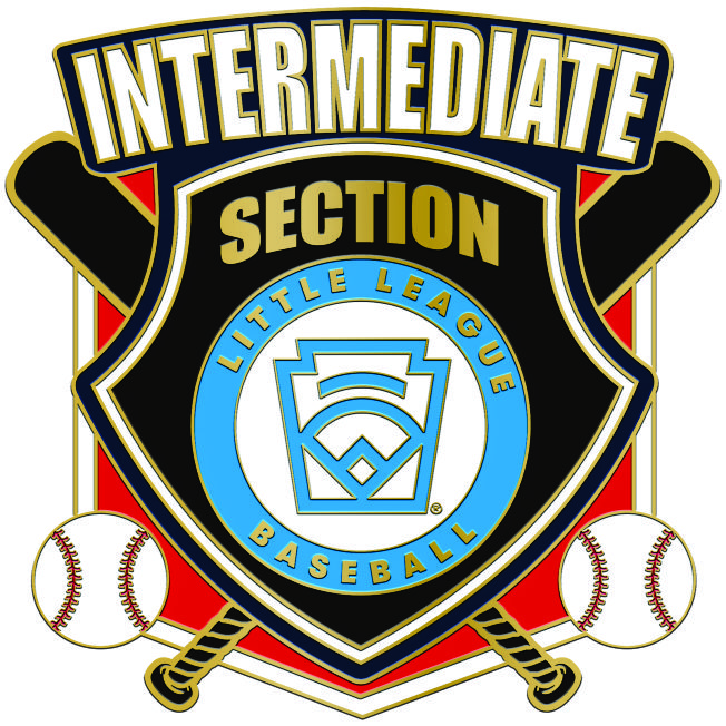 L-133 INTERMEDIATE SECTION