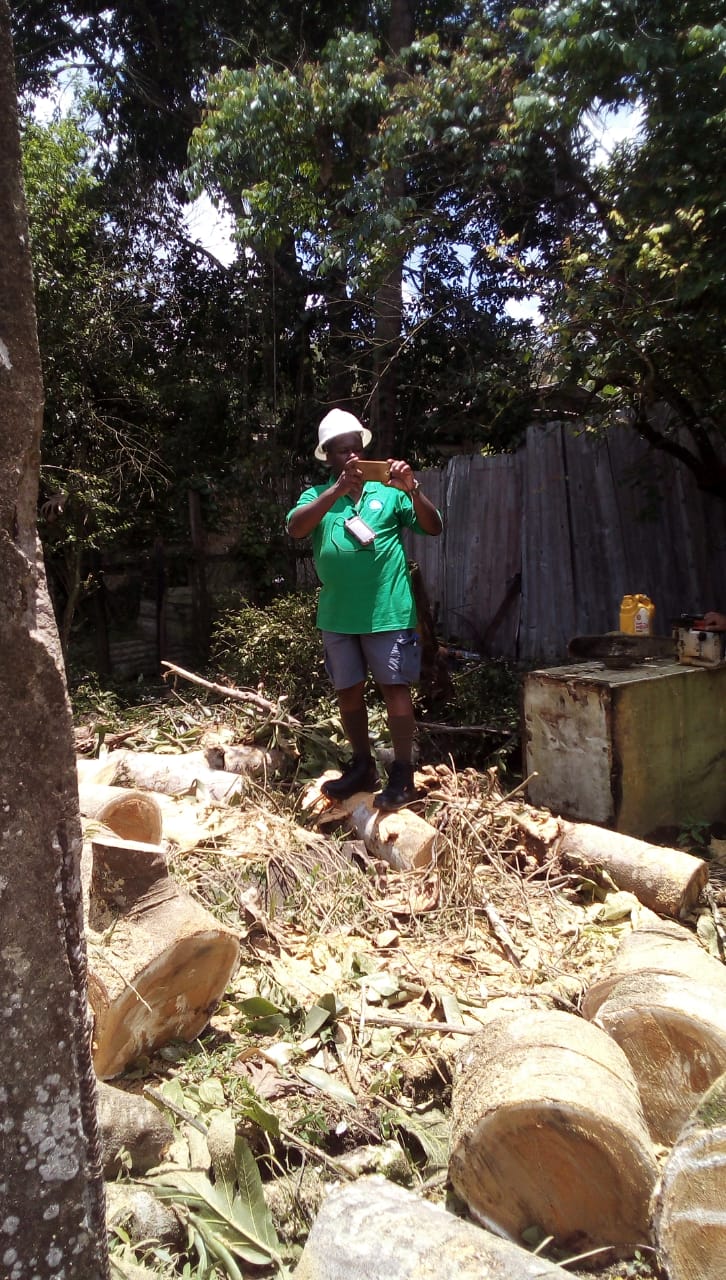 CDC’s Captain Salim October assessing the damage