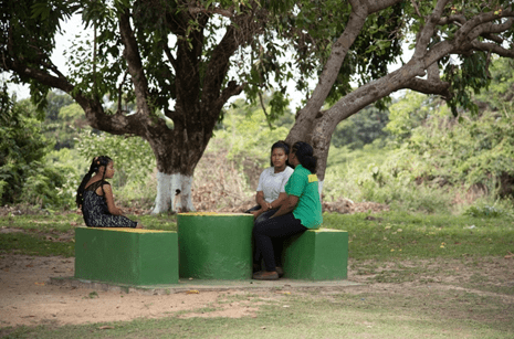 Sections of the Rehabilitated Cashew Grove Park.