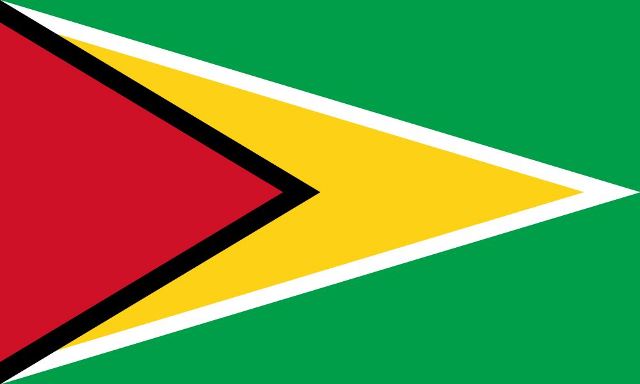 guyana flag