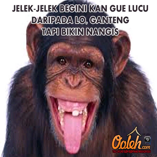 Unduh Gratis Gambar Https Encrypted Tbn0 Gstatic Gambar Gratis Images Q Tbn 3aand9gcqgabteyx6j2akzjmjzqkkjo9pbzmzwsl63r37o4ut5x4lwayih Terbaru by Lampunghits.com