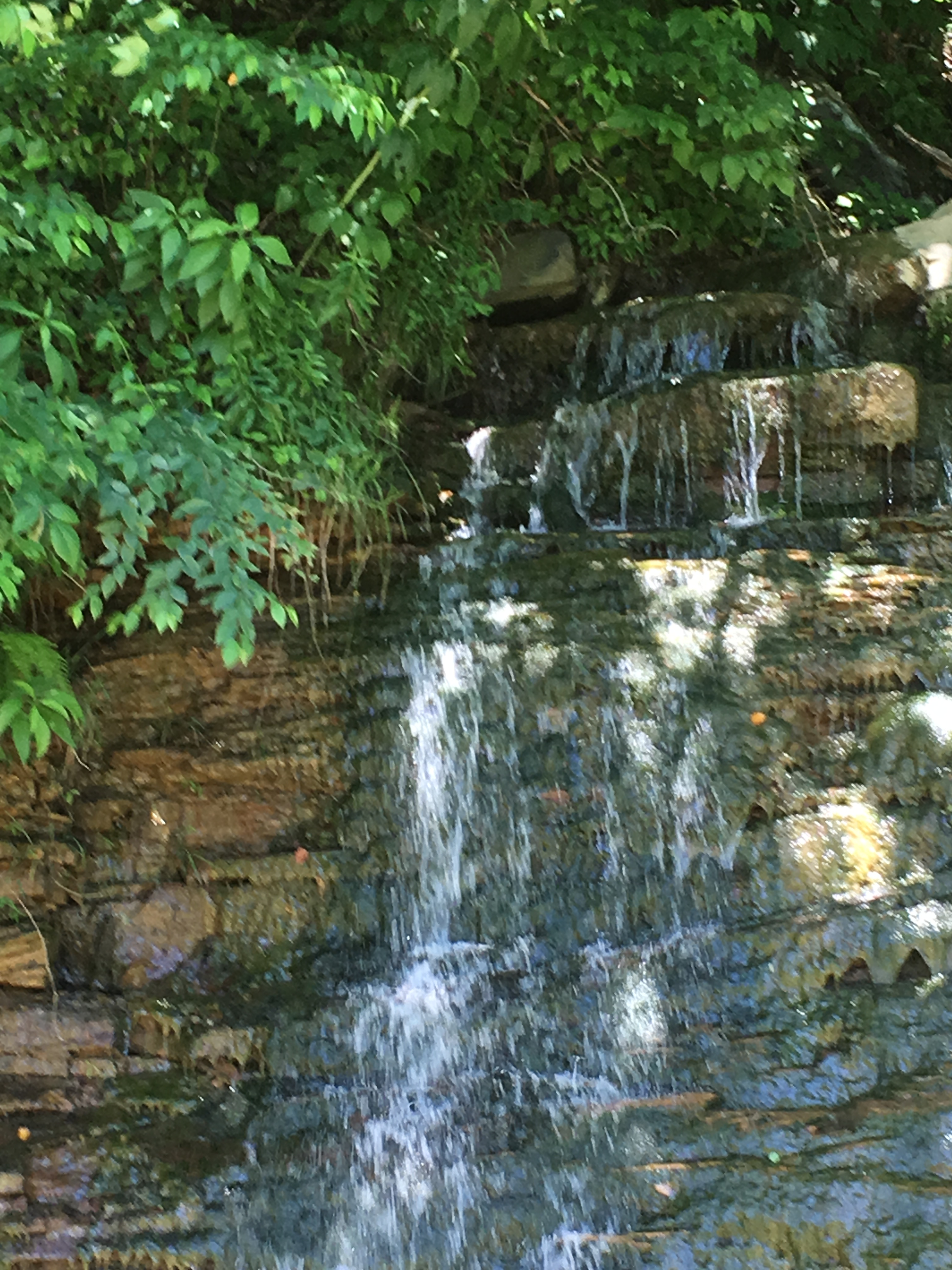IMG_8304