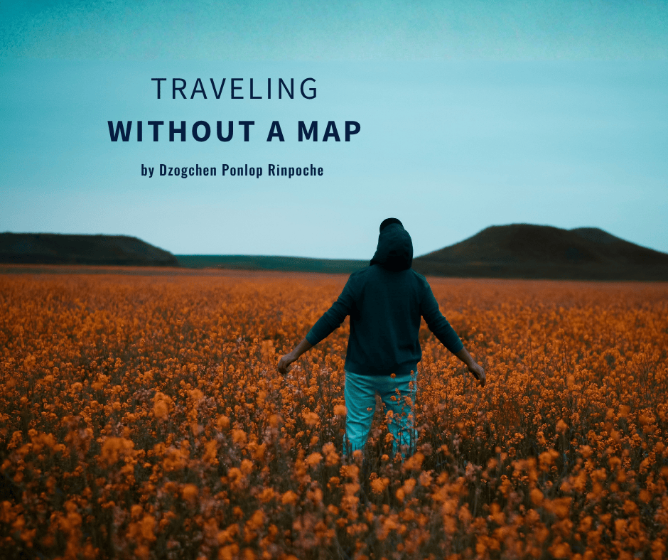Figure stands in a vast field of blooming marigolds with low hills on the horizon and a turqouise blue sky above. The figure wears a hooded sweatshirt and turquoise pants. Their arms are out as they lean back slightly, looking up at the clear sky.