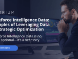 Workforce Intelligence Data Examples Of Leveraging Data For Strategic