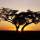 The Hope of Africa