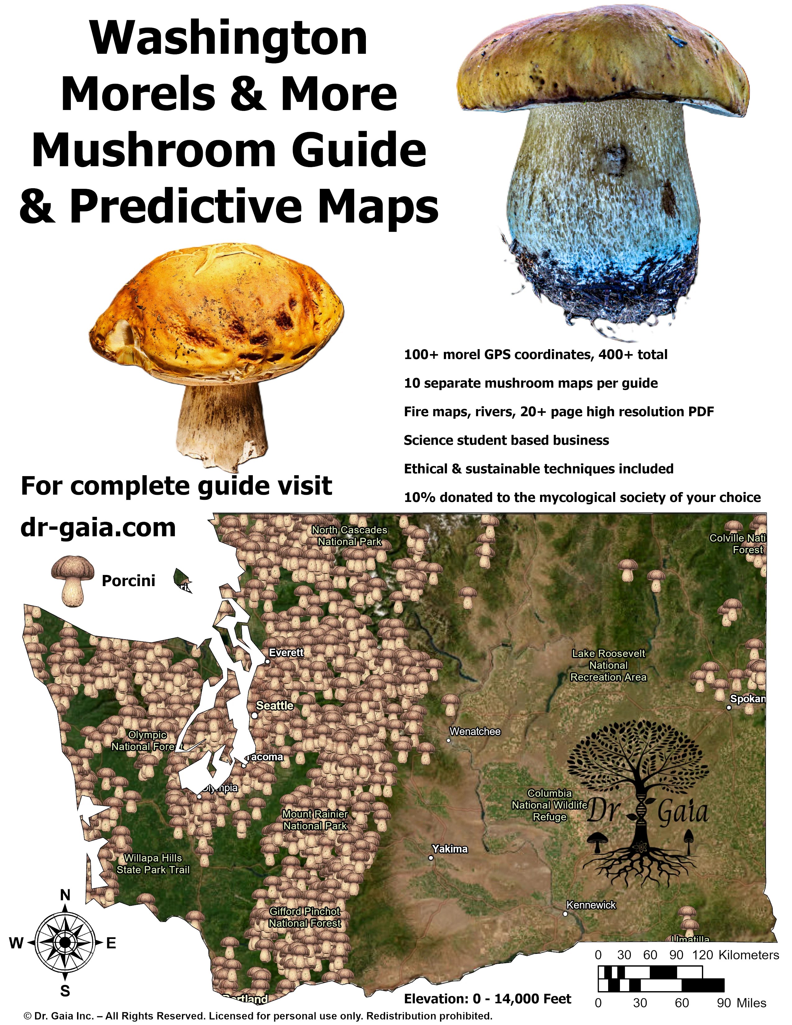 Washington Morels More Mushroom Guide Predictive Maps Dr Gaia 