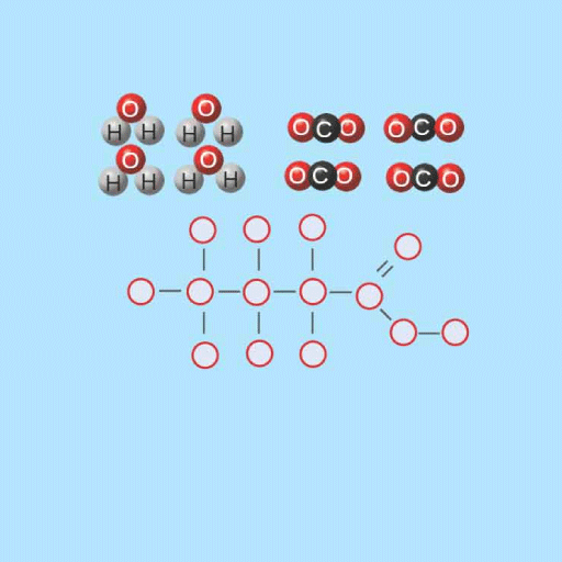Learn vocabulary, terms, and more with flashcards, games, and other study tools. Lipids Ck 12 Foundation