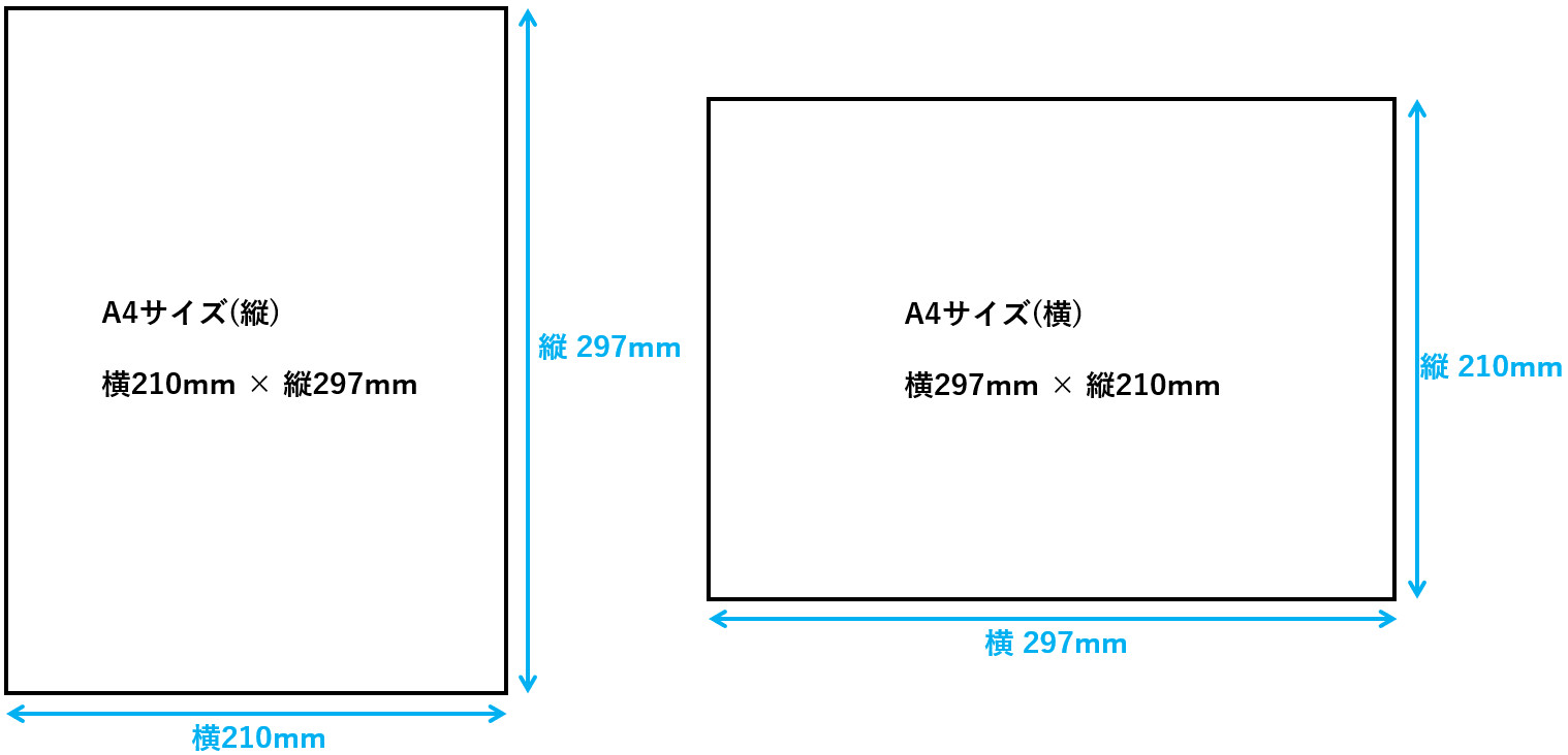 A4サイズの用紙を原寸大で表示できるパソコンのディスプレイは何インチ? | PRE:もう一つの理学への道