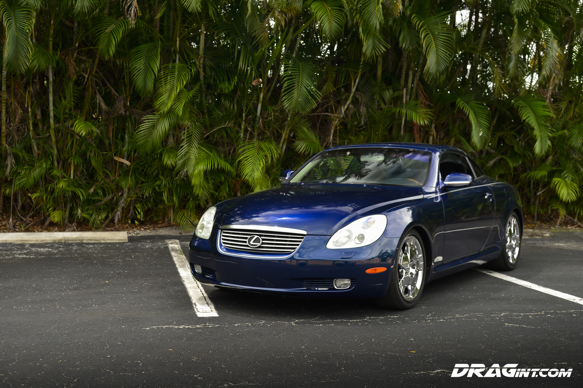 DRAGintSC430043.jpg?ssl=1