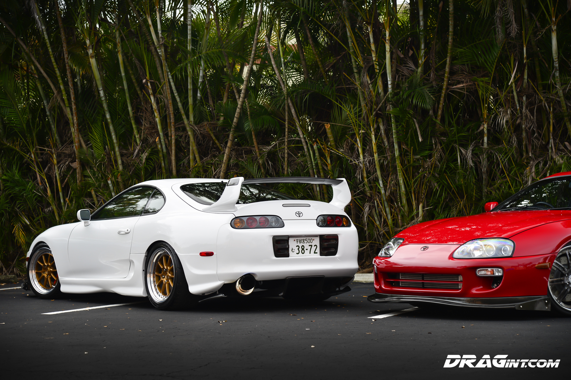 DRAGint4Supras005.jpg?fit=1200