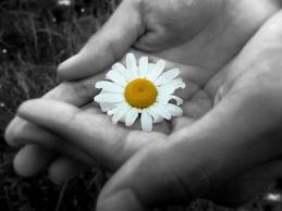 Social Media Increases Generosity