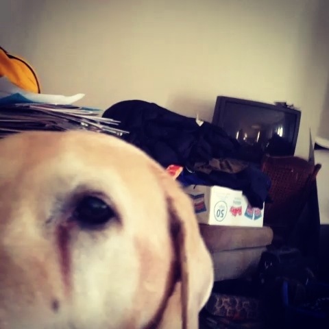 20131121-141205.jpg