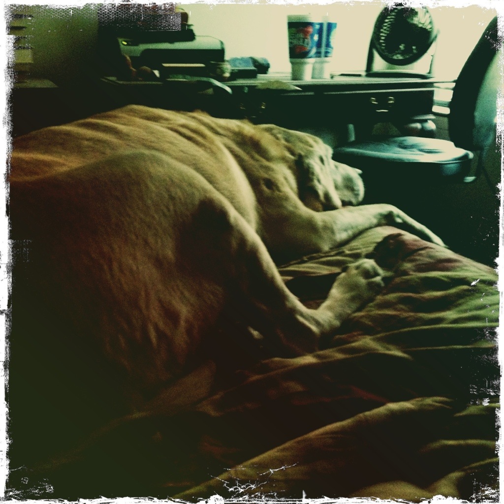 20131215-155213.jpg