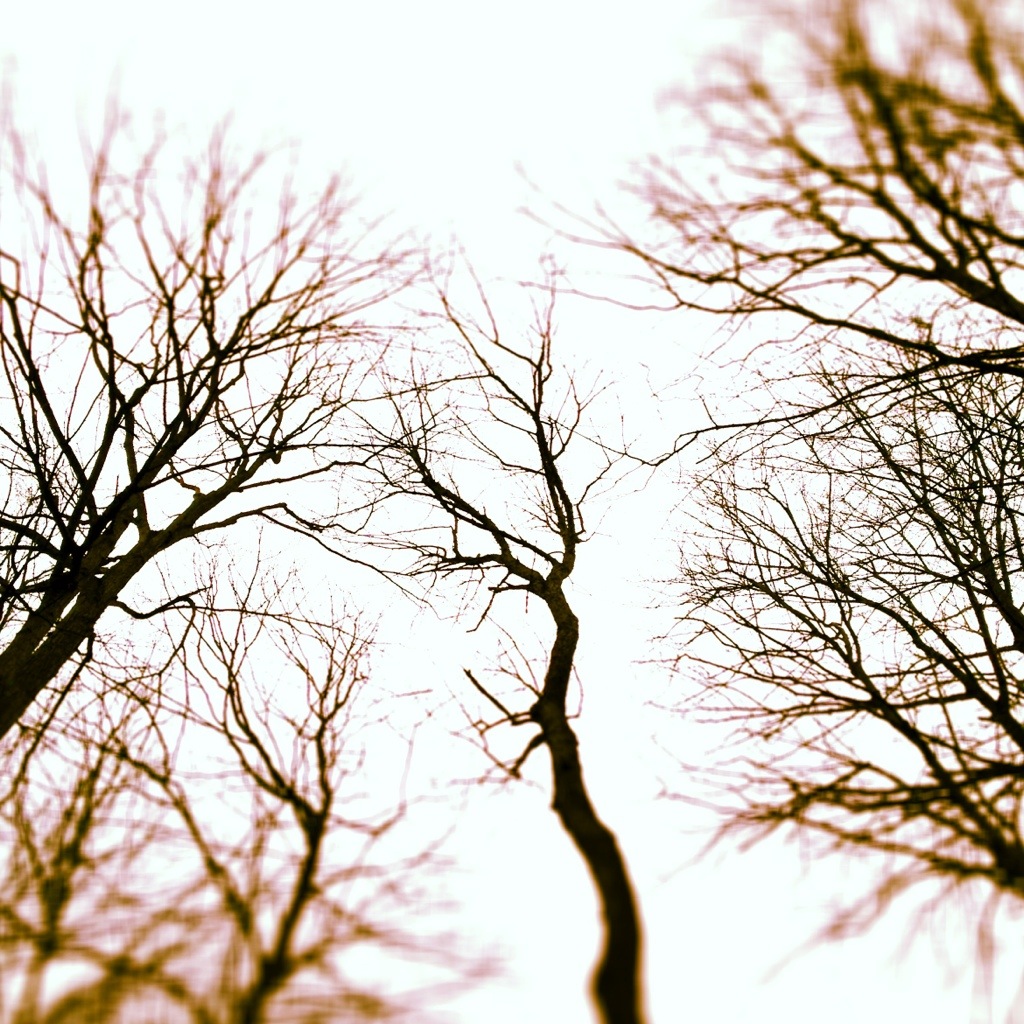 20131215-160819.jpg