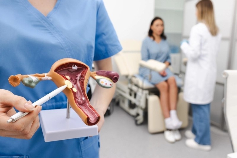 Médica apontando com caneta para protótipo de útero e outra médica atendendo paciente ao fundo