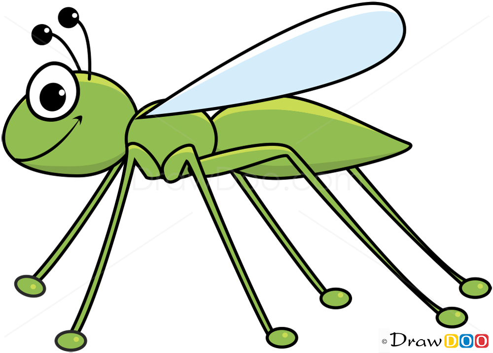 All drawing steps are included here which make it fun and simple to . How To Draw Cricket Insects